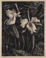 KG 16052
          <br/>
          Witte orchideeën
          <br/>
          <em>Visser, Jan (1879-1961)</em>
